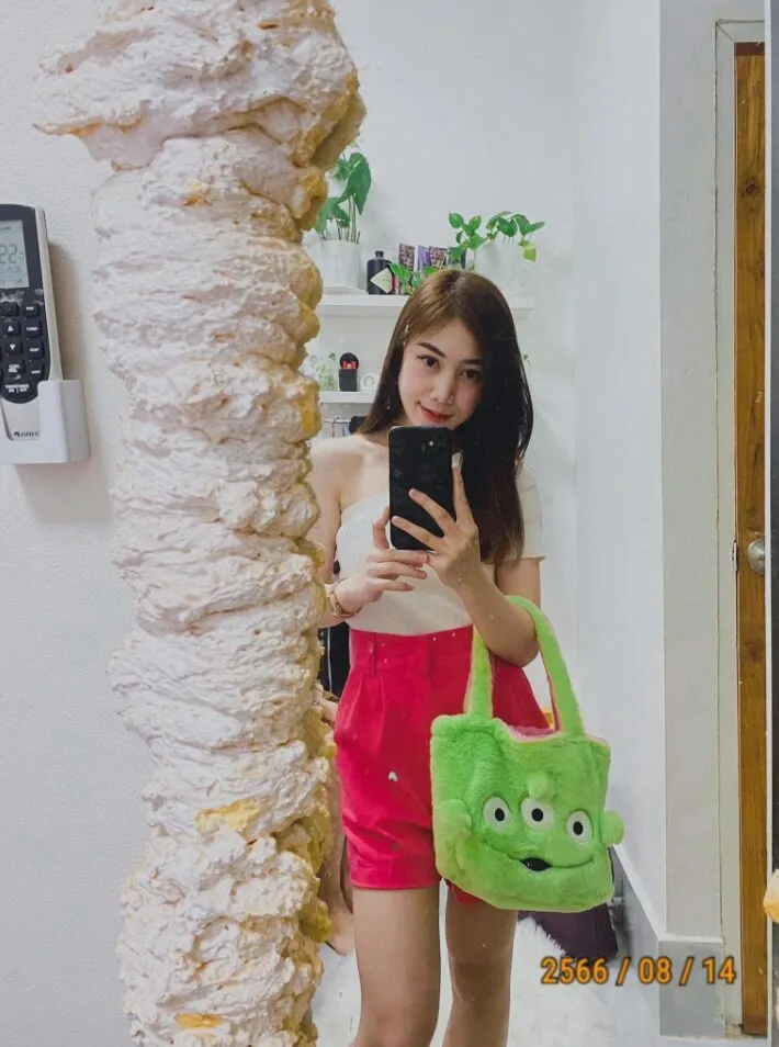 Chiến lược và tầm nhìn của Lan Chi Shyn đối với esp.se.net